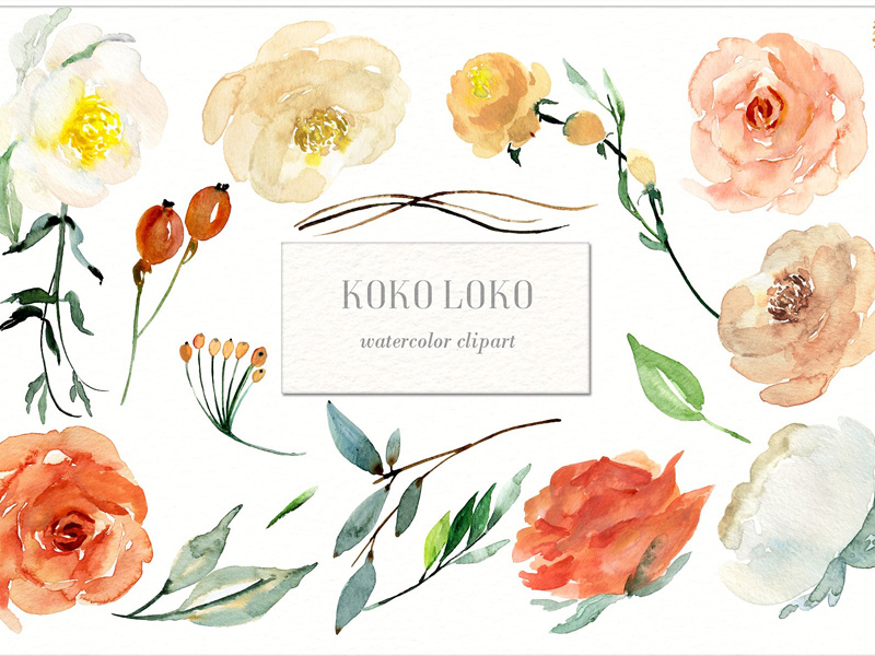 Flower watercolor png you can download 26 free flower watercolor png images. Watercoloer Rose Flower Free Dawnload Clip Art Library
