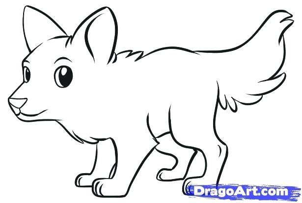 It is a young of the wolf which is also called . Realistic Wolf Drawing Tutorial | Free download on ClipArtMag