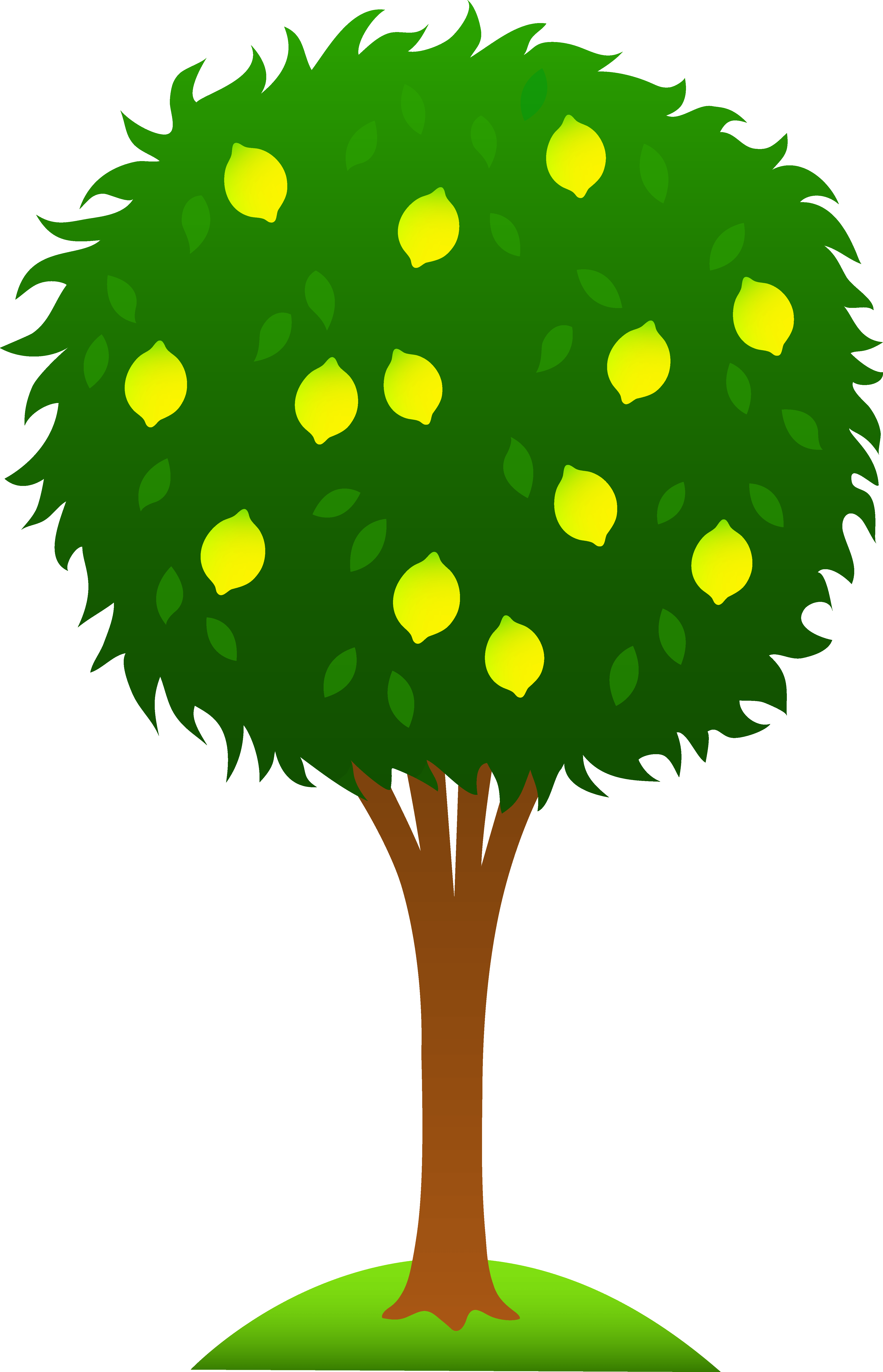 Green tree illustration, logo tree, cartoon tree logo, cartoon character, free logo design template, leaf png 626x506px 39.27kb; Cartoon Tree Cliparts Cliparts Zone