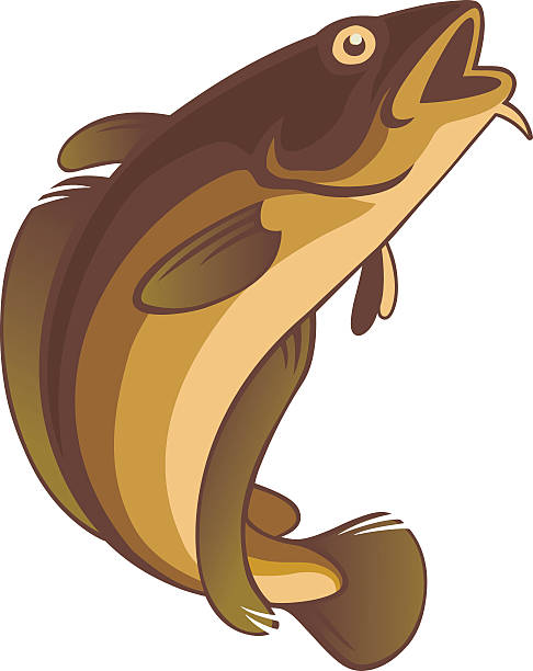 Over 1500 cod fish pictures to choose from, with no signup needed. clipart cod 10 free Cliparts | Download images on ...