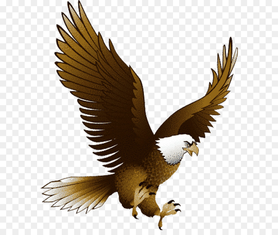 Thank you for choosing to fly with finnair! clipart eage 10 free Cliparts | Download images on