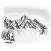 Pencil artwork of a cat. 100 Easy Drawing Tutorials For Beginners And Beyond