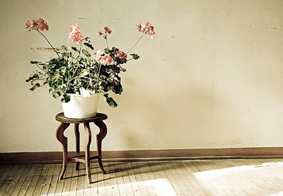 Sehingga still life photography berarti karya fotografi yang menjadikan . 10 Top Tips To Get Started With Still Life Photography