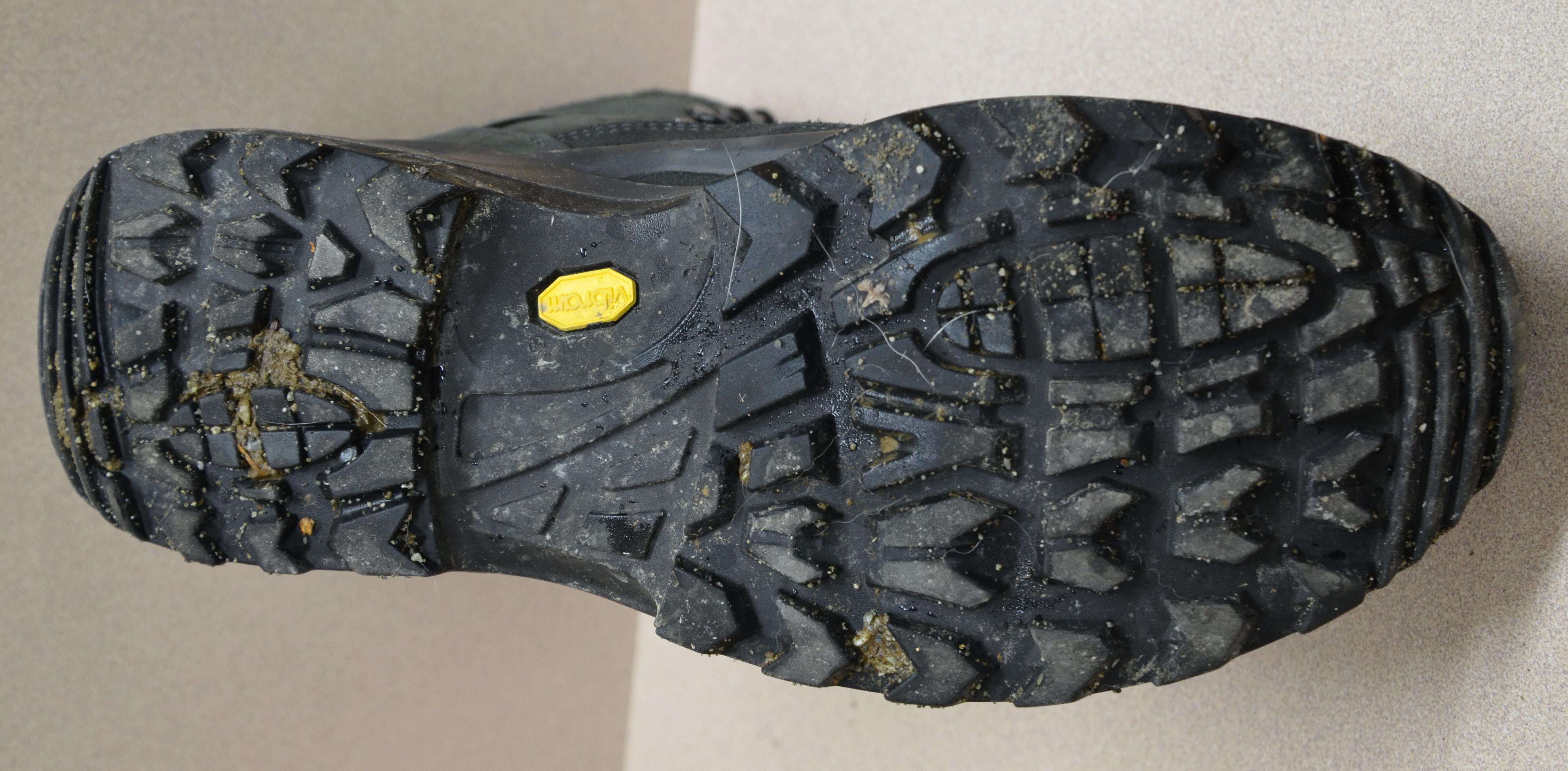 lowa renegade gtx mid sp hiking boots