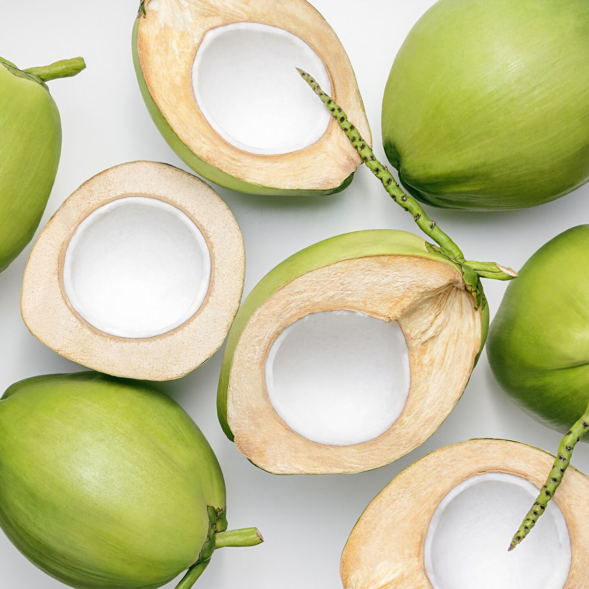 Young Coconut COCO HITECH