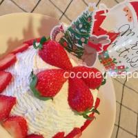 ドーム型クリスマスケーキを手作り!中学生でも作れちゃう簡単レシピとは?