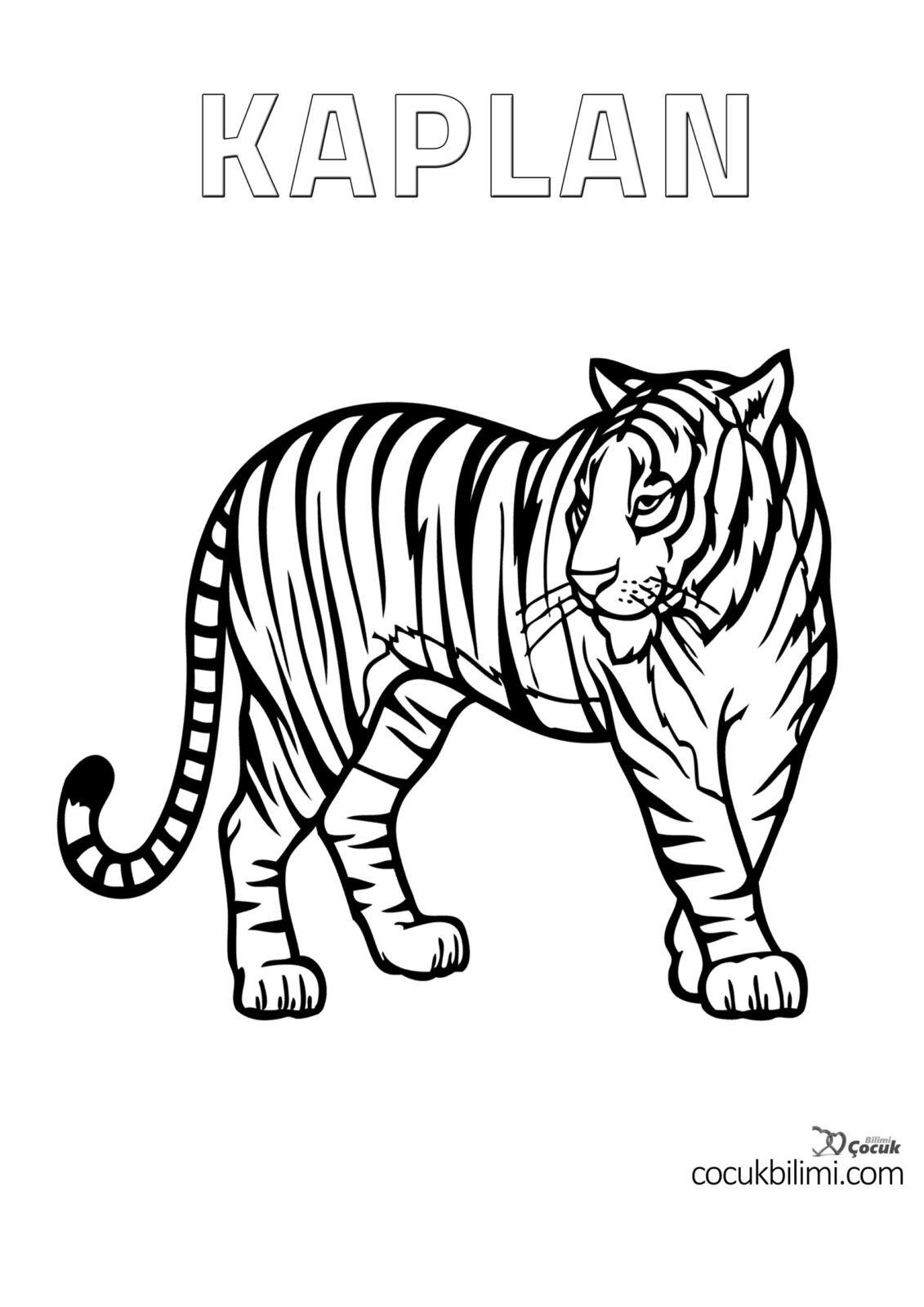 Beğendiğiniz boyama sayfasının üstüne tıklayıp teker teker yazdırabilir ya da pdf indir butonundan tüm araba boyama sayfalarını indirip yazdırabilirsiniz. Hayvanlar Boyama Sayfalari Cocuk Bilimi Indir Ve Yazdir