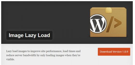 We recommend using the wp rocket plugin to lazy load images in wordpress. 10 Best WordPress Lazy Load Plugins | Code Geekz