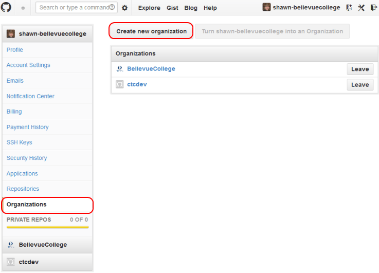 Using Github Programmer in a Strange Land