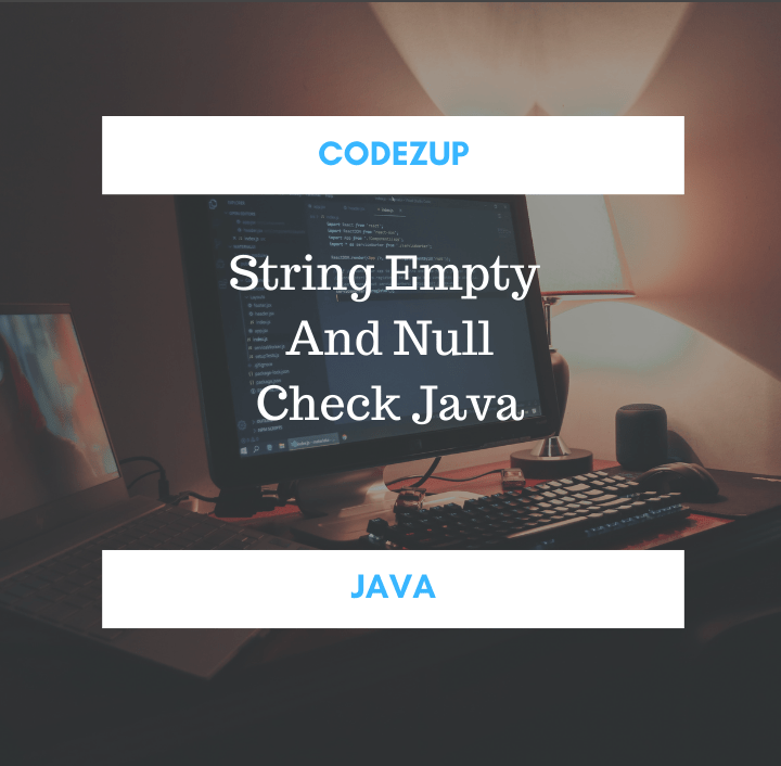 java string null