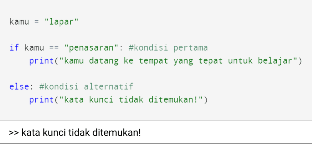 if else python
