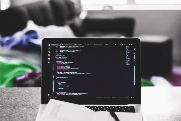 website developer