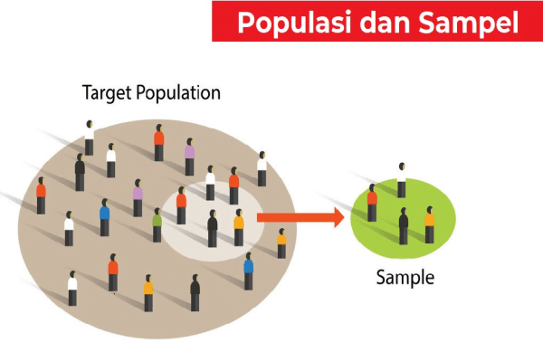 sampel