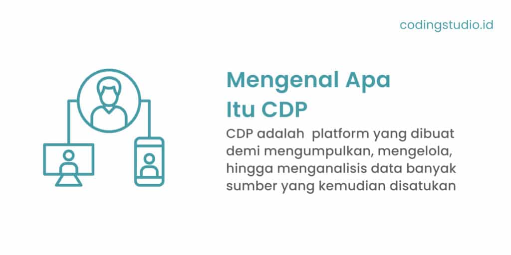 Apa Itu CDP