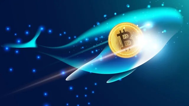 Bitcoin Wallet Awakens After 11 Years, Transfers $31M 1 Sleeping Bitcoin wallet