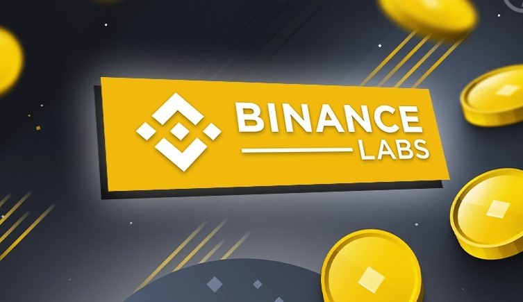 DeFi Yield Protocol Pendle Harnesses sDAI And fUSDC For RWA Product Development 2 Binance labs lost 2 employes