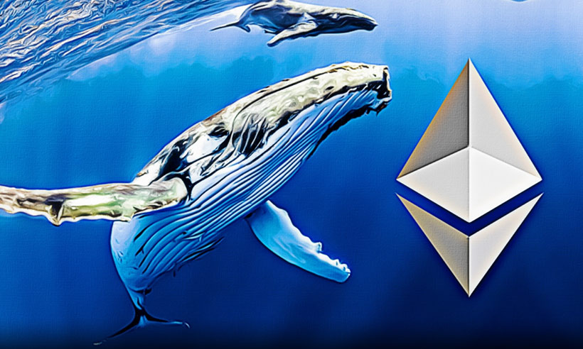 Whale's High-Stakes Moves: $7.66 Million ETH Withdrawn and Risky PERP Investment 1 Whale's High-Stakes Moves: $7.66 Million ETH Withdrawn and Risky PERP Investment