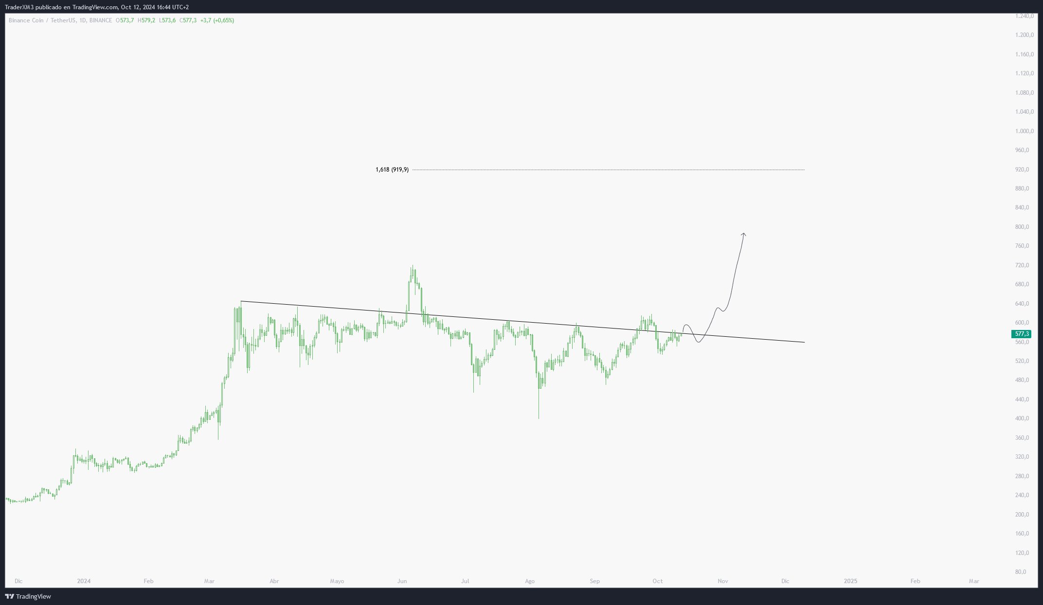 Binance Coin Prediction: Analyst Predicts BNB Price to Hit $1000 in 2024