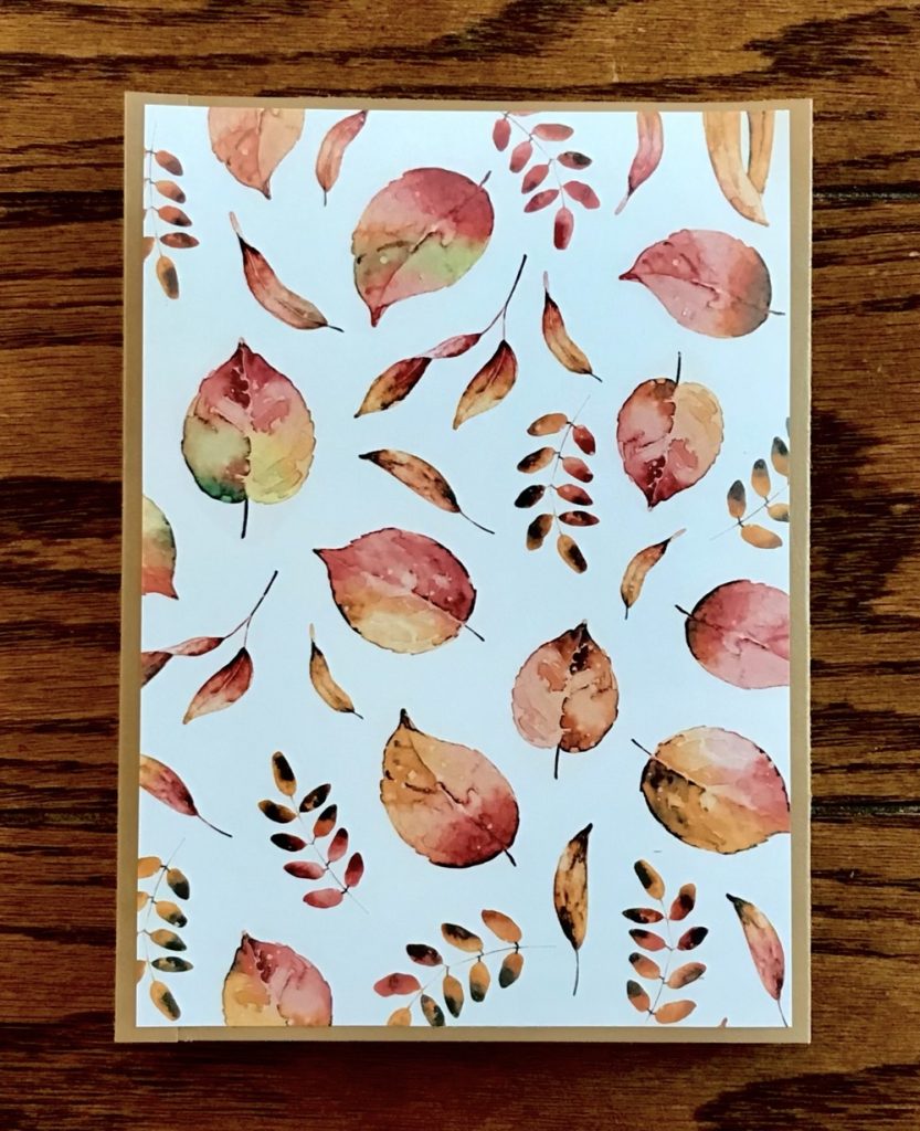 Photo of the back cover of today's project covered with pattern paper from the Autumn Blaze paper pack from Recollections. 