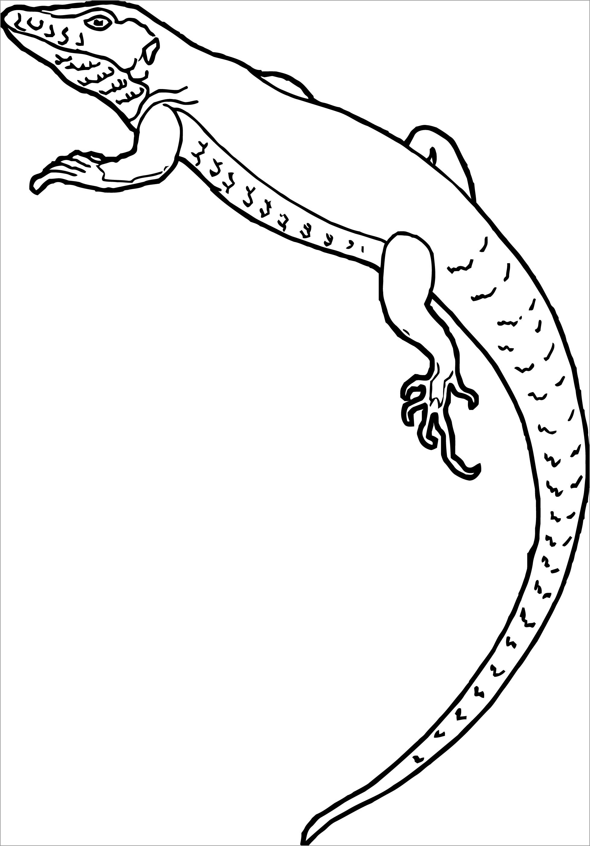 You can print or download them to color and offer them to your family and friends. Printable Lizard Coloring Page Coloringbay