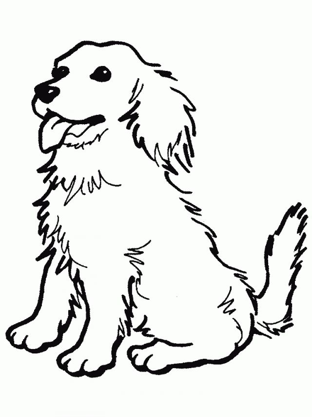 There's something for everyone from beginners to the advanced. Free Printable Dog Pictures Coloring Home