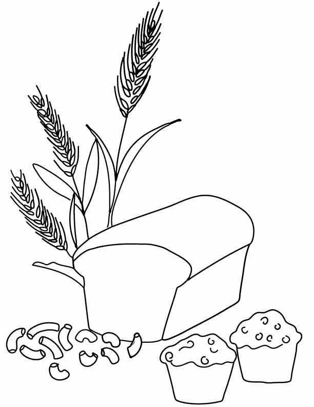 Preschool worksheets · preschool ideas. Grains Coloring Pages Coloring Home