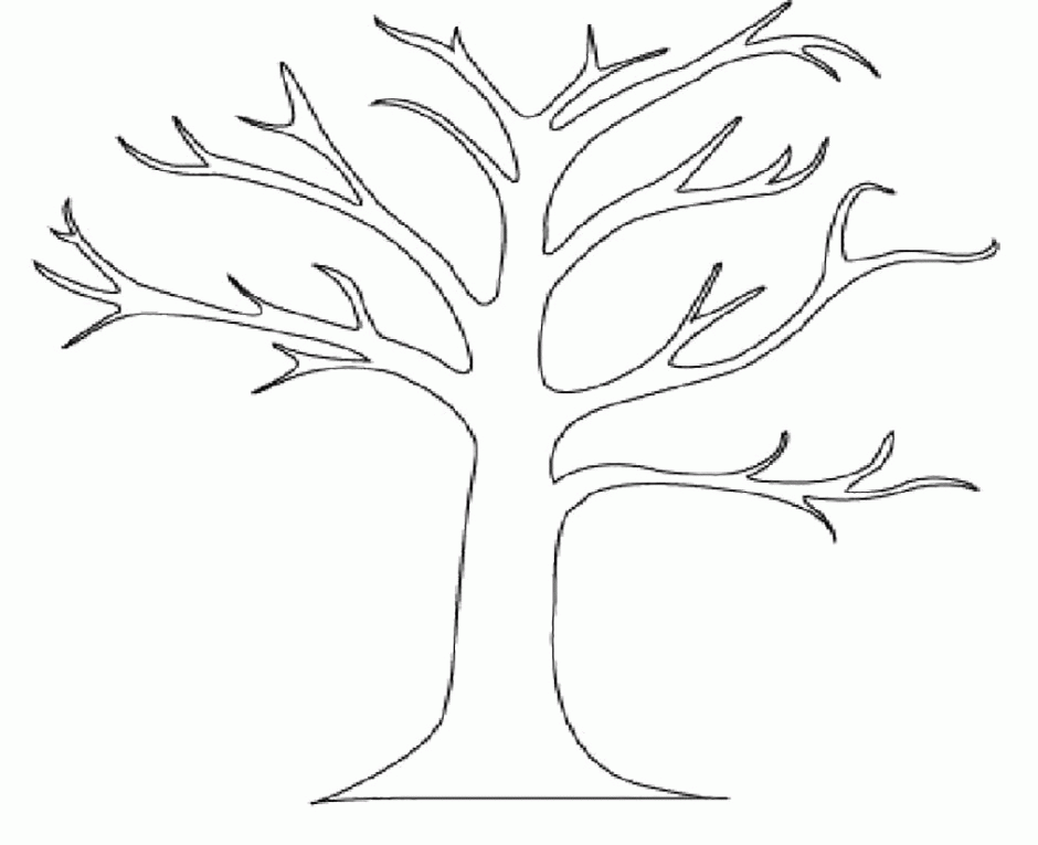 In addition, many people use trees for landscaping, so it's beneficial to know what species to look for wh. Tree Without Leaves Coloring Page Coloring Home