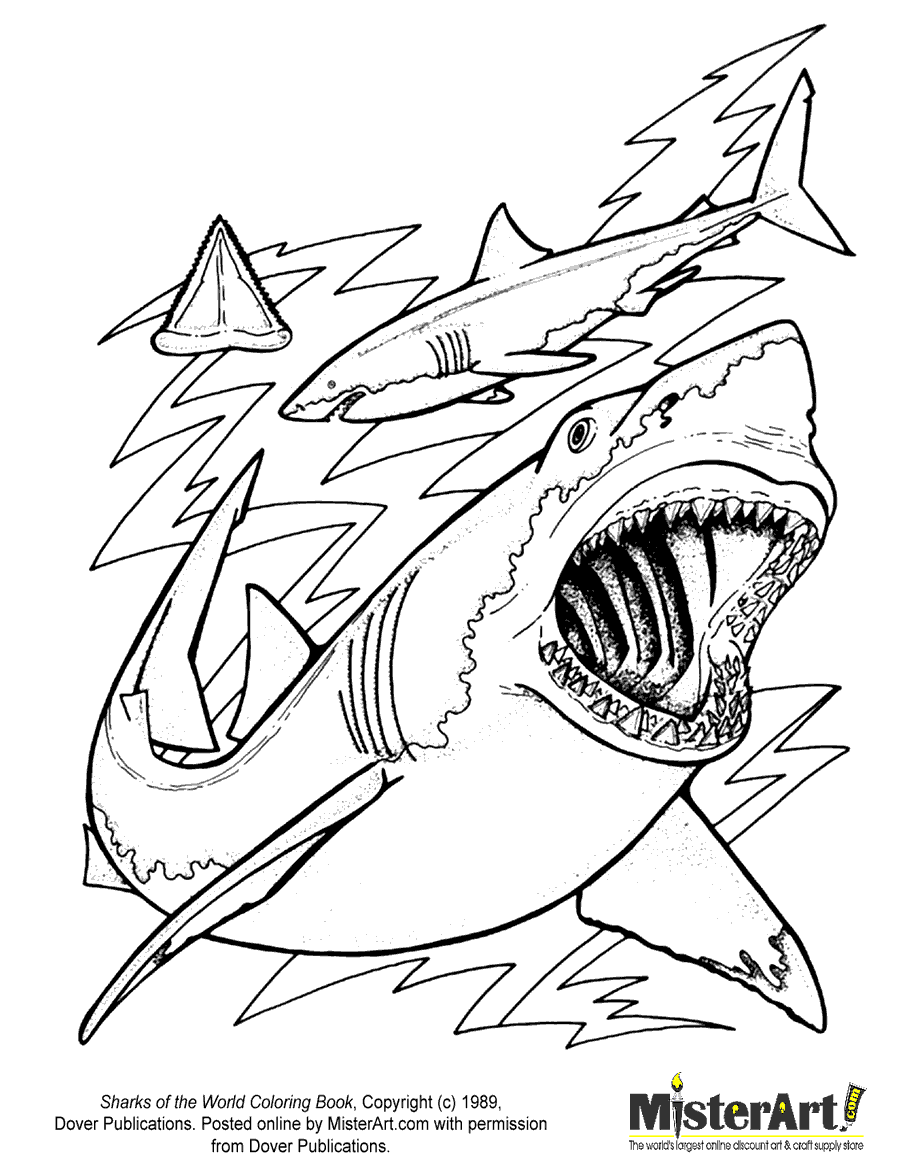 The spruce / wenjia tang take a break and have some fun with this collection of free, printable co. Free Printable Shark Coloring Pages Coloring Home