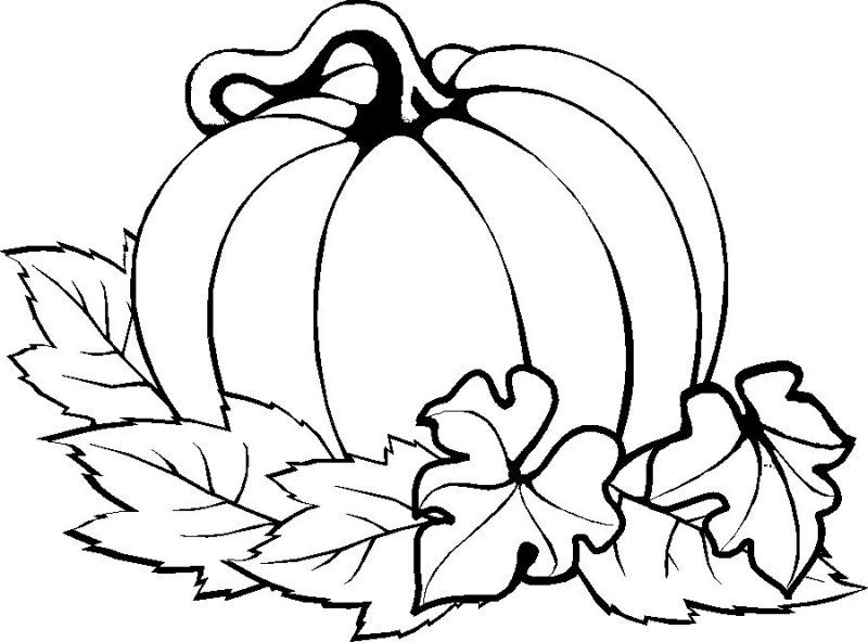 Select from 51618 printable coloring pages of cartoons, animals, nature, bible and many more. Pumpkins Coloring Pages Fall Coloring Pages Pumpkin Coloring Coloring Home