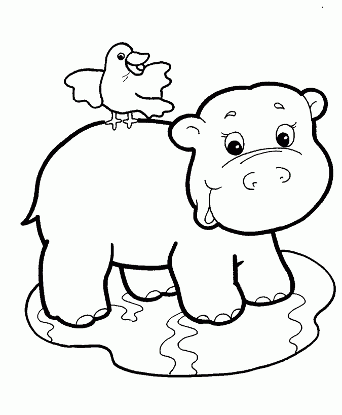 This collection includes mandalas, florals, and more. Baby Animal Coloring Sheets Coloring Home