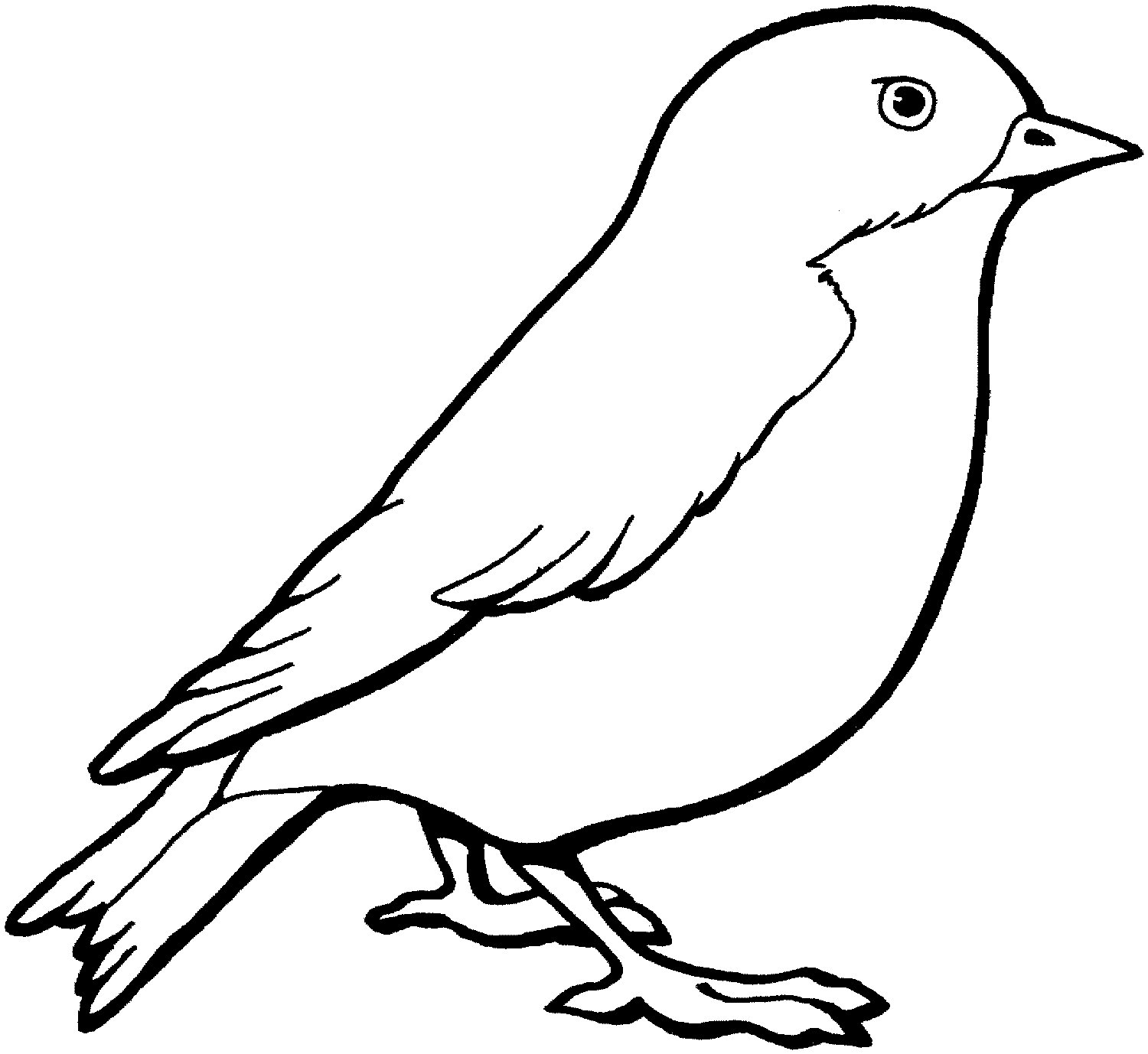 sparrow colouring pages for toddlers