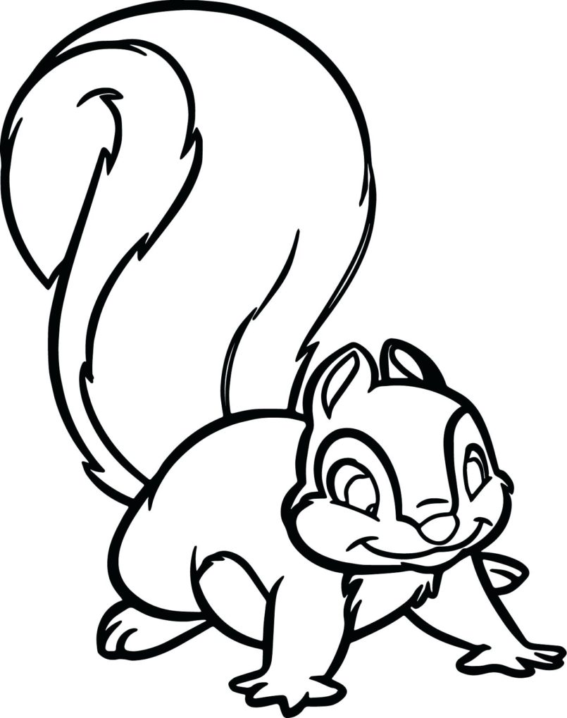 Kangaroo cartoon black and white. Squirrel Coloring Pages Cute Animal Coloring Pages Coloring Pages For Kids And Adults