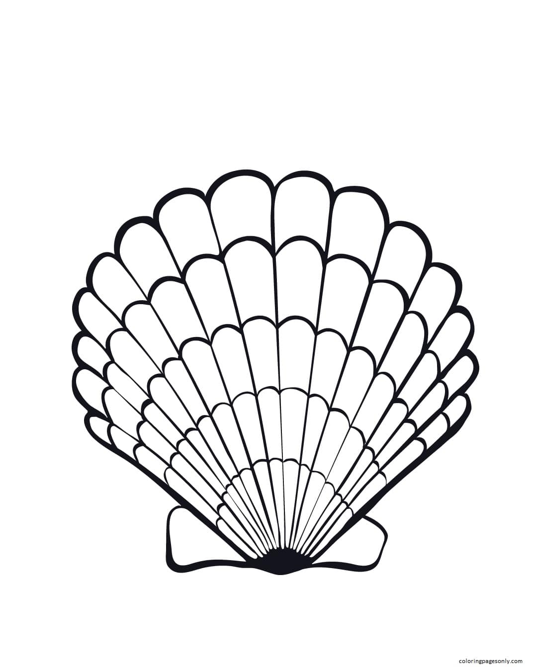 This cute seashell drawing clipart is the best for children of all ages. Giant Clam Shell Coloring Pages - Clam Coloring Pages - Coloring Pages