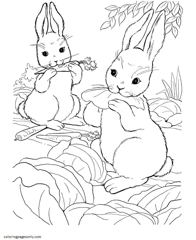 Rabbits are cute, furry creatures that are often found in the woods and forests. Bunny Rabbit Coloring Pages Farm Animal Coloring Pages Coloring Pages For Kids And Adults