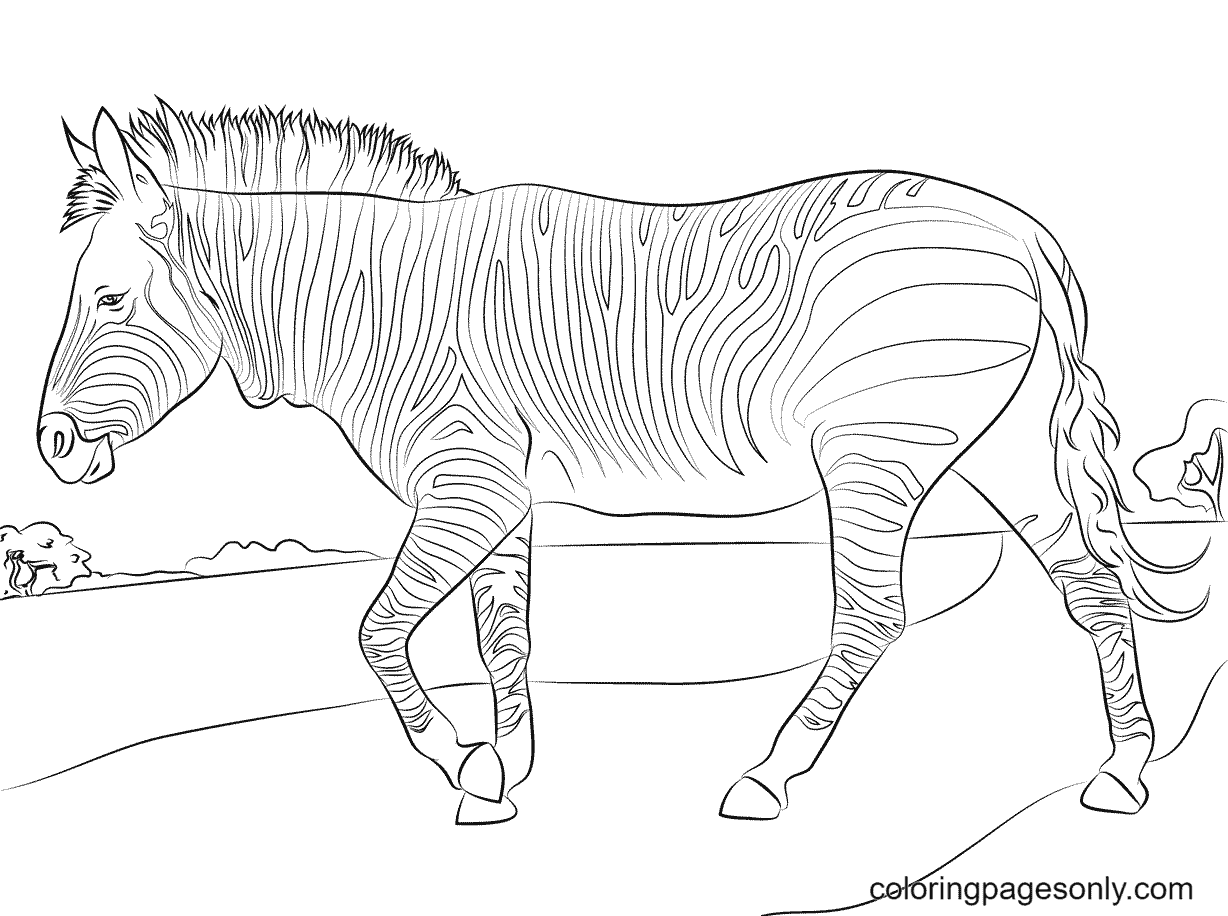 mountain zebra coloring pages zebra coloring pages coloring pages for kids and adults