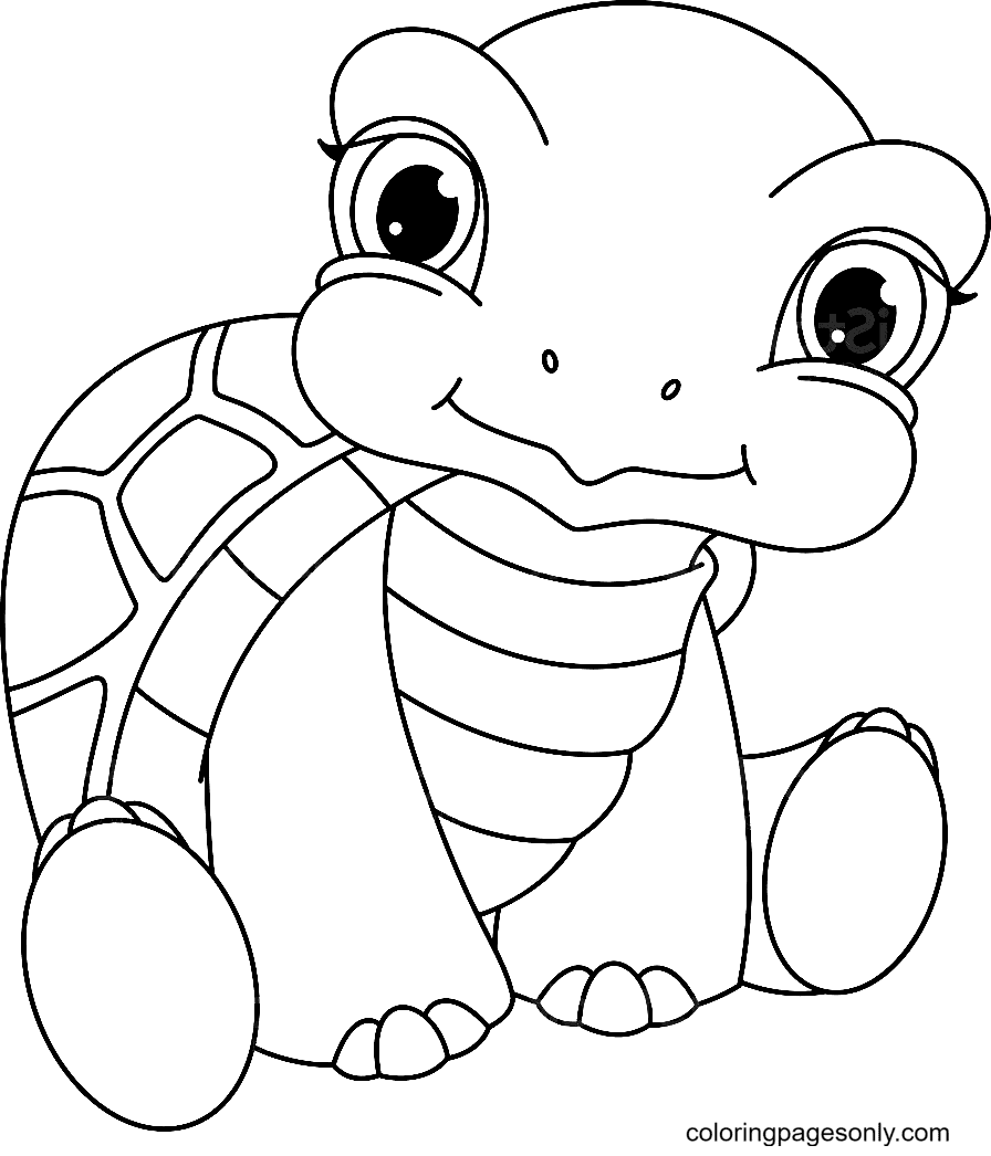 140 best funny & cute parrot names. Adorable Baby Turtle Coloring Pages Turtle Coloring Pages Coloring Pages For Kids And Adults