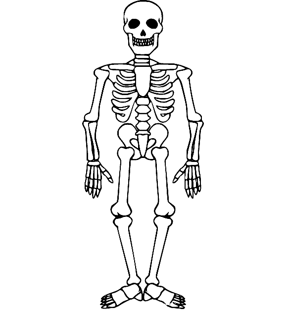 To help out, i provide several ideas for coloring . Simple Skeleton Coloring Pages Skeleton Coloring Pages Coloring Pages For Kids And Adults