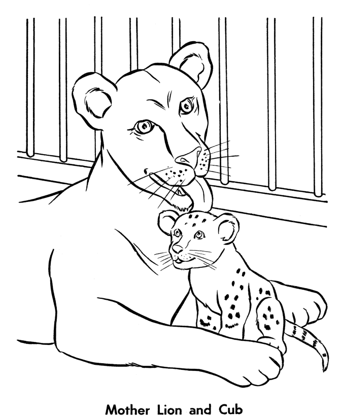lioness coloring pages download and print for free