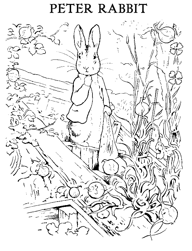 Plus, it’s an easy way to celebrate each season or special holidays. Peter rabbit coloring pages to download and print for free