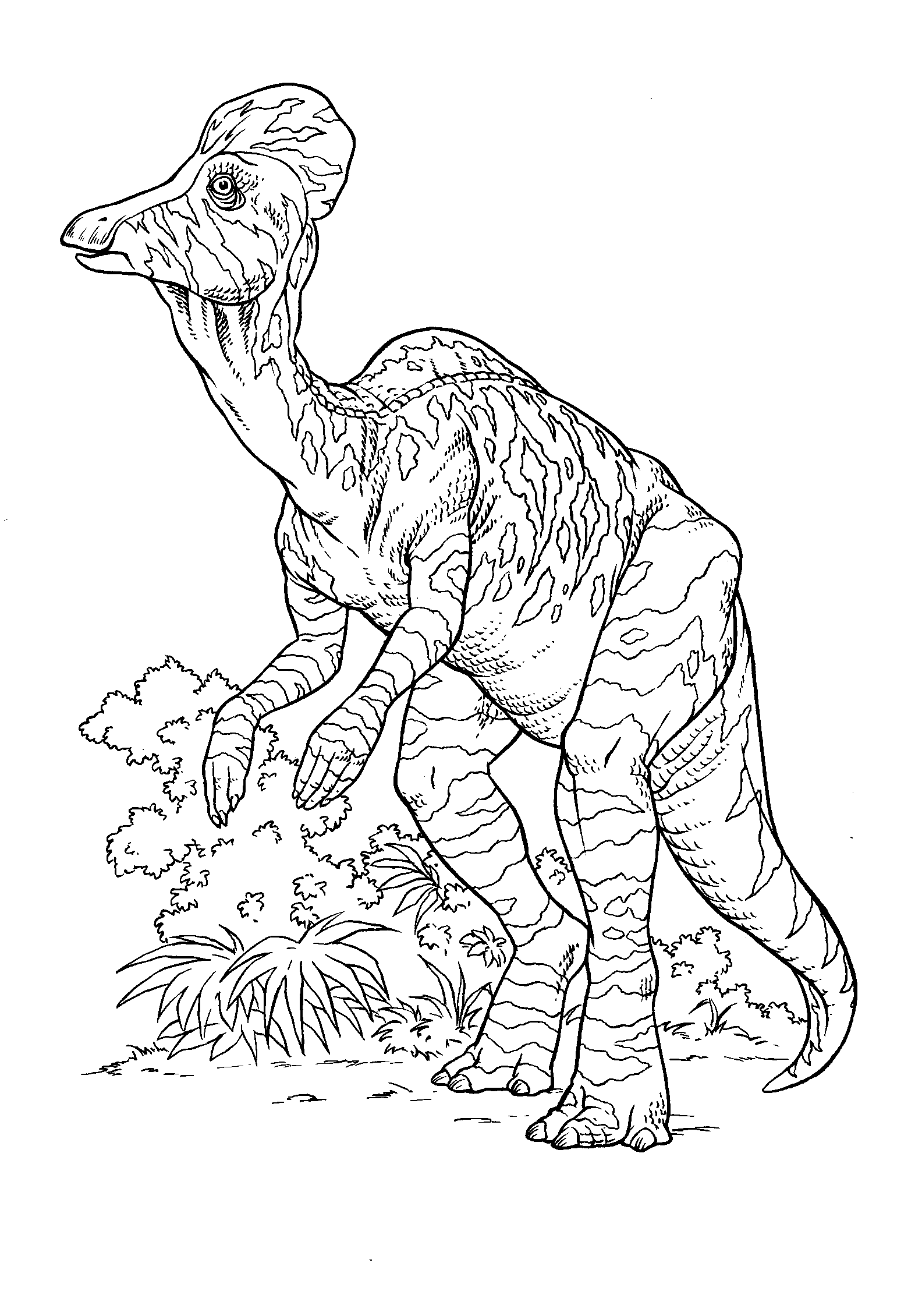 These free, printable christmas coloring pages are fun for kids. Are you looking for unblocked games? Coloring page - Corythosaurus