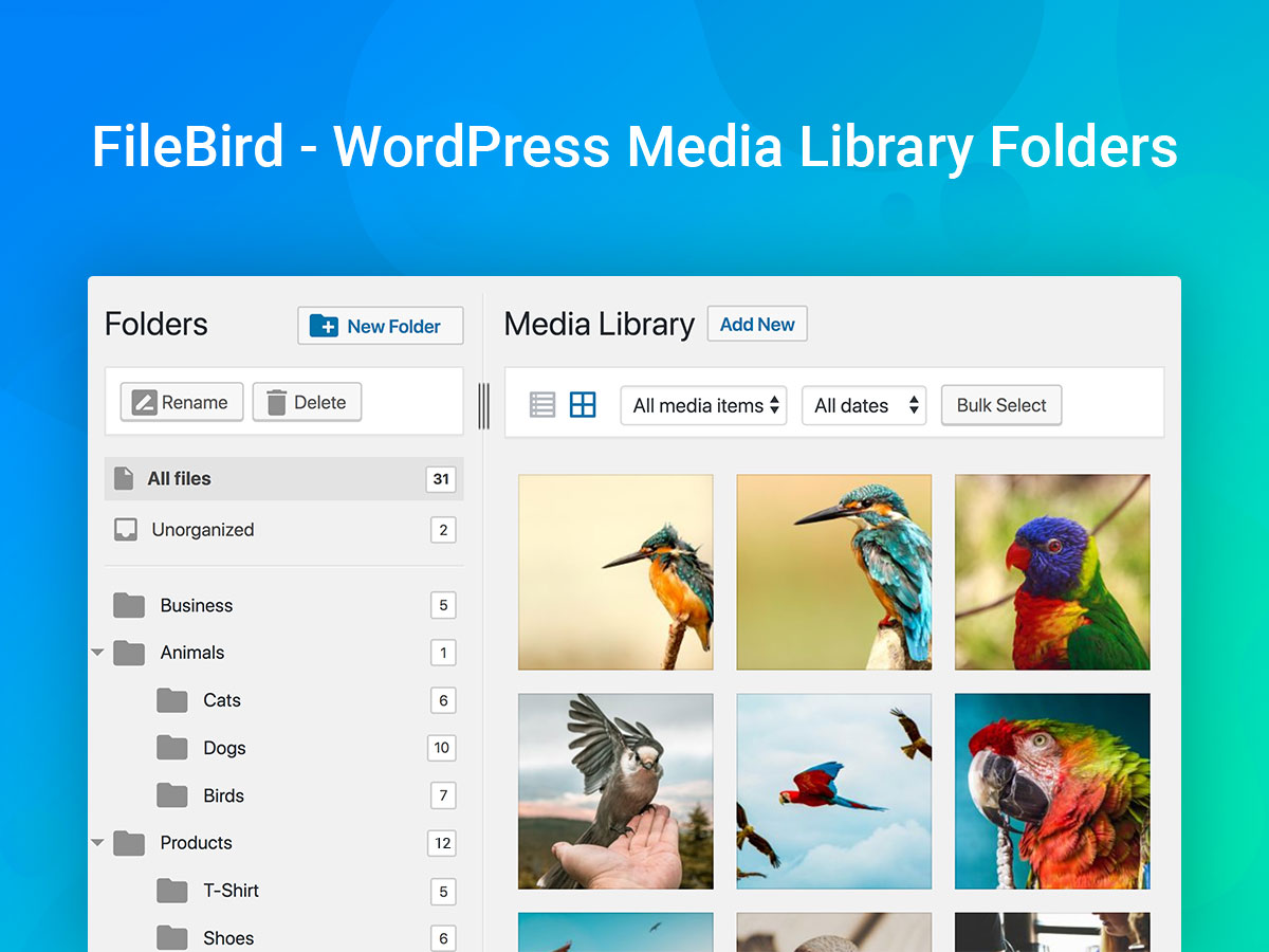 Media library folders for wordpress creates actual folders in your wordpress media library:. 10 Best Wordpress Media Library Management Plugins 2021 Colorlib