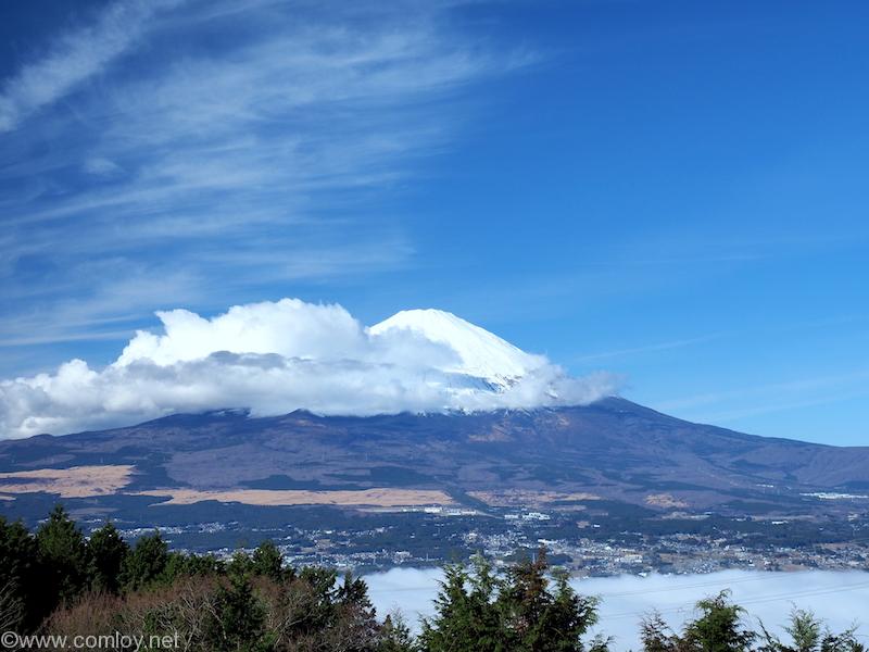 ワンコと一緒に犬御殿 箱根仙石原温泉 森のあかり で人もわんこも目一杯くつろごう Comloy Labo Walking Around The World