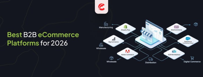 Top B2B eCommerce Platform Guide for 2026: Best Options Compared