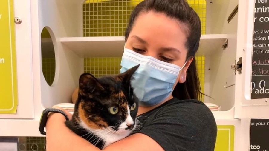 All zip codes accepted !!! Texas Litter Control Partners With City Of Humble For Community Cat Pilot Program Community Impact