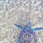 パーソナルコーチングの一般募集停止のお知らせ（2024年5月〜）