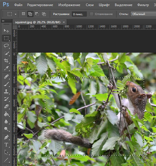 Как уменьшить интерфейс фотошопа. Смотреть фото Как уменьшить интерфейс фотошопа. Смотреть картинку Как уменьшить интерфейс фотошопа. Картинка про Как уменьшить интерфейс фотошопа. Фото Как уменьшить интерфейс фотошопа Как уменьшить интерфейс фотошопа. Смотреть фото Как уменьшить интерфейс фотошопа. Смотреть картинку Как уменьшить интерфейс фотошопа. Картинка про Как уменьшить интерфейс фотошопа. Фото Как уменьшить интерфейс фотошопа