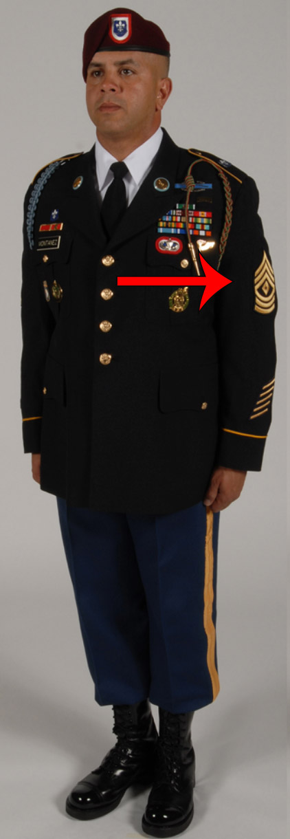 How's the bench press challenge going? A Civilian's Primer on Military Rank and Insignia | The