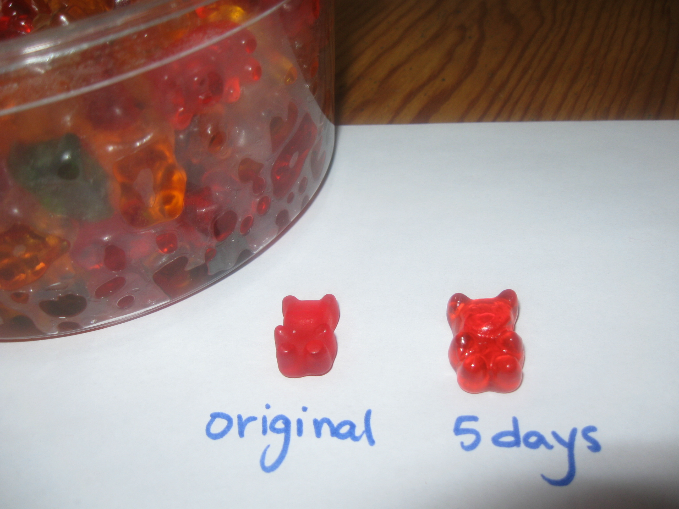 Country living editors select each product featured. Drunken Gummies Vodka Infused Gummi Bears 4 Steps With Pictures Instructables