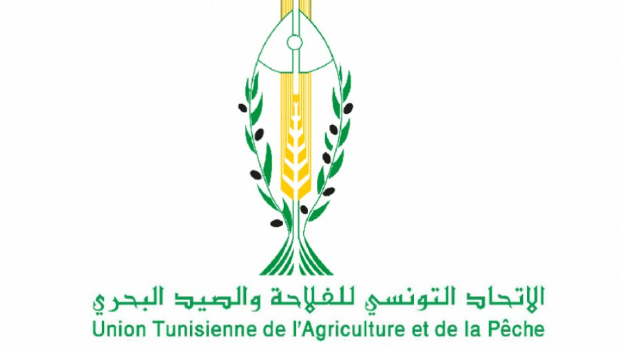 اتحاد الفلاحة يطالب بـ4 إجراءات لإنجاح موسم بذر الحبوب