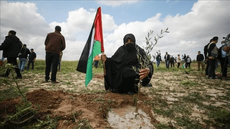 ذكرى يوم الأرض.. باقون ولن نرحل ذكرى يوم الأرض.. باقون ولن نرحل
